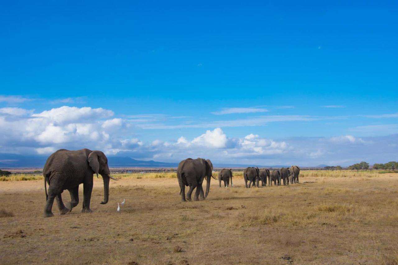 Amboseli Cultural Camping Екстериор снимка
