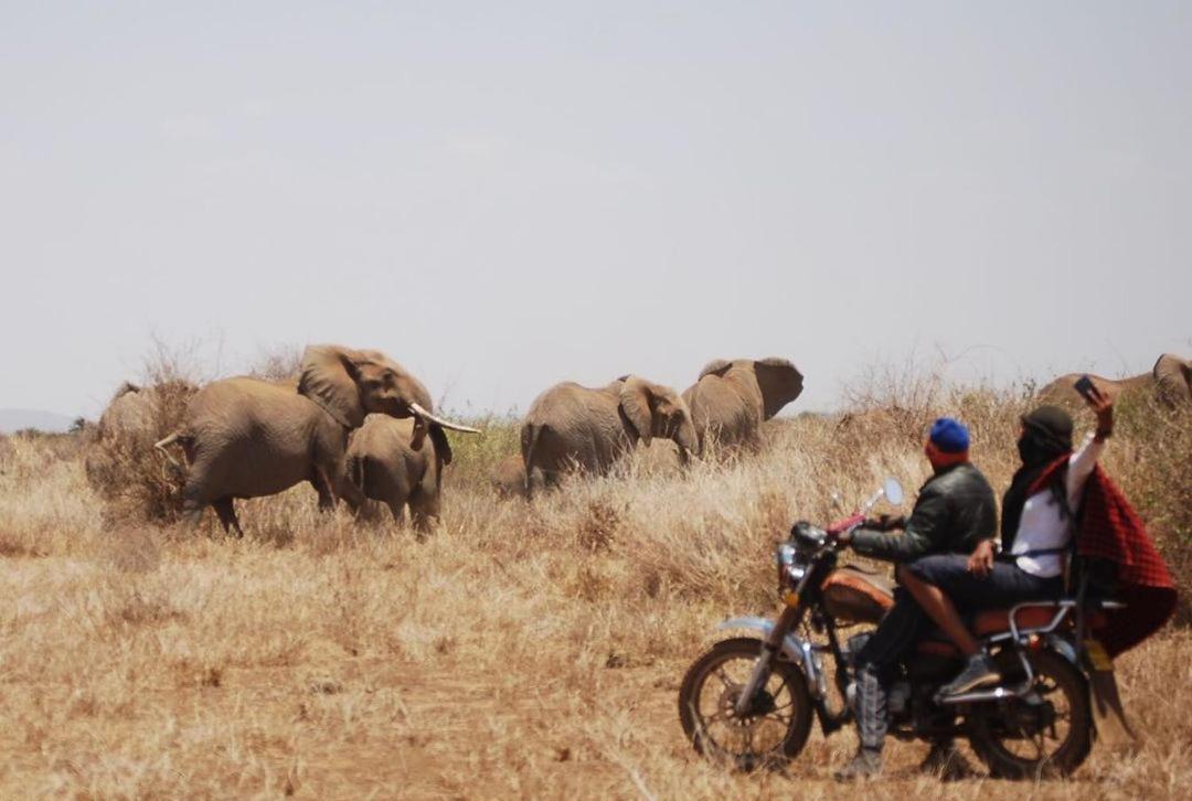 Amboseli Cultural Camping Екстериор снимка