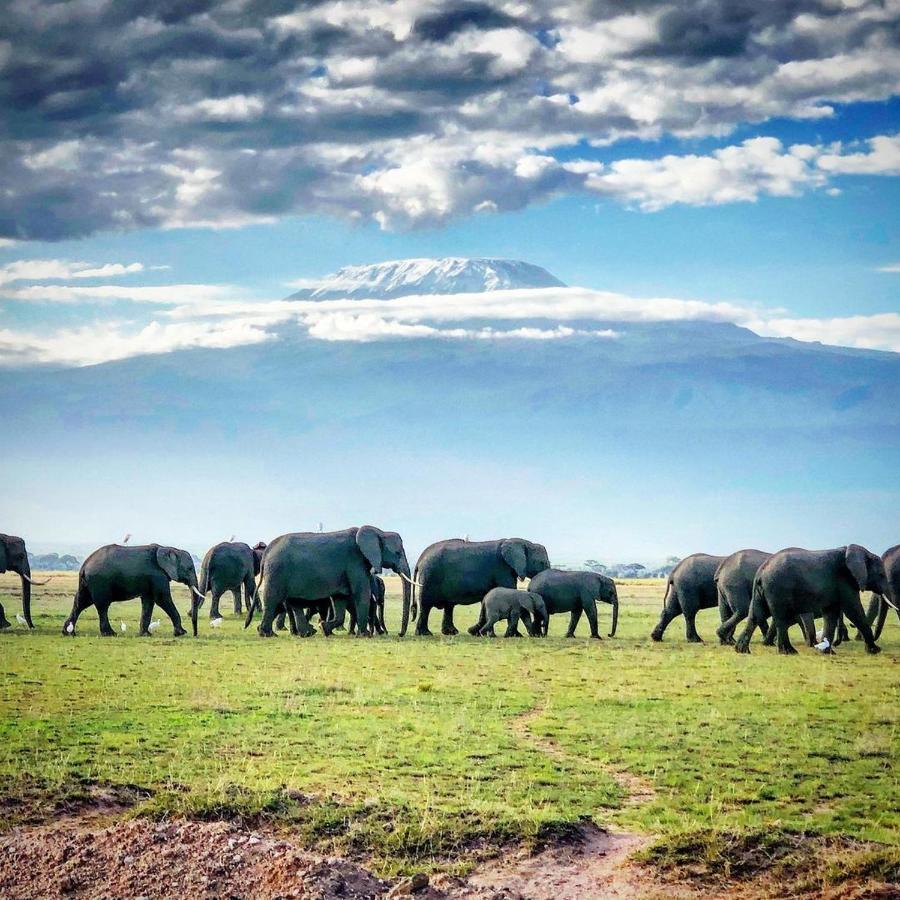 Amboseli Cultural Camping Екстериор снимка