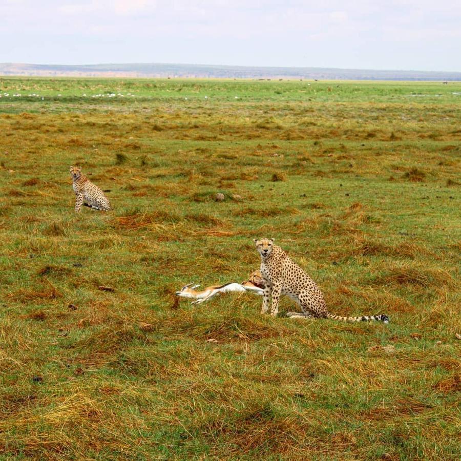 Amboseli Cultural Camping Екстериор снимка
