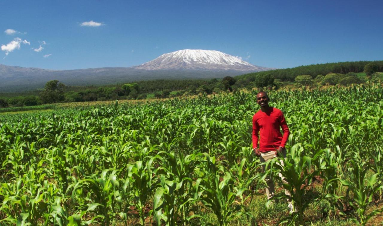 Amboseli Cultural Camping Екстериор снимка