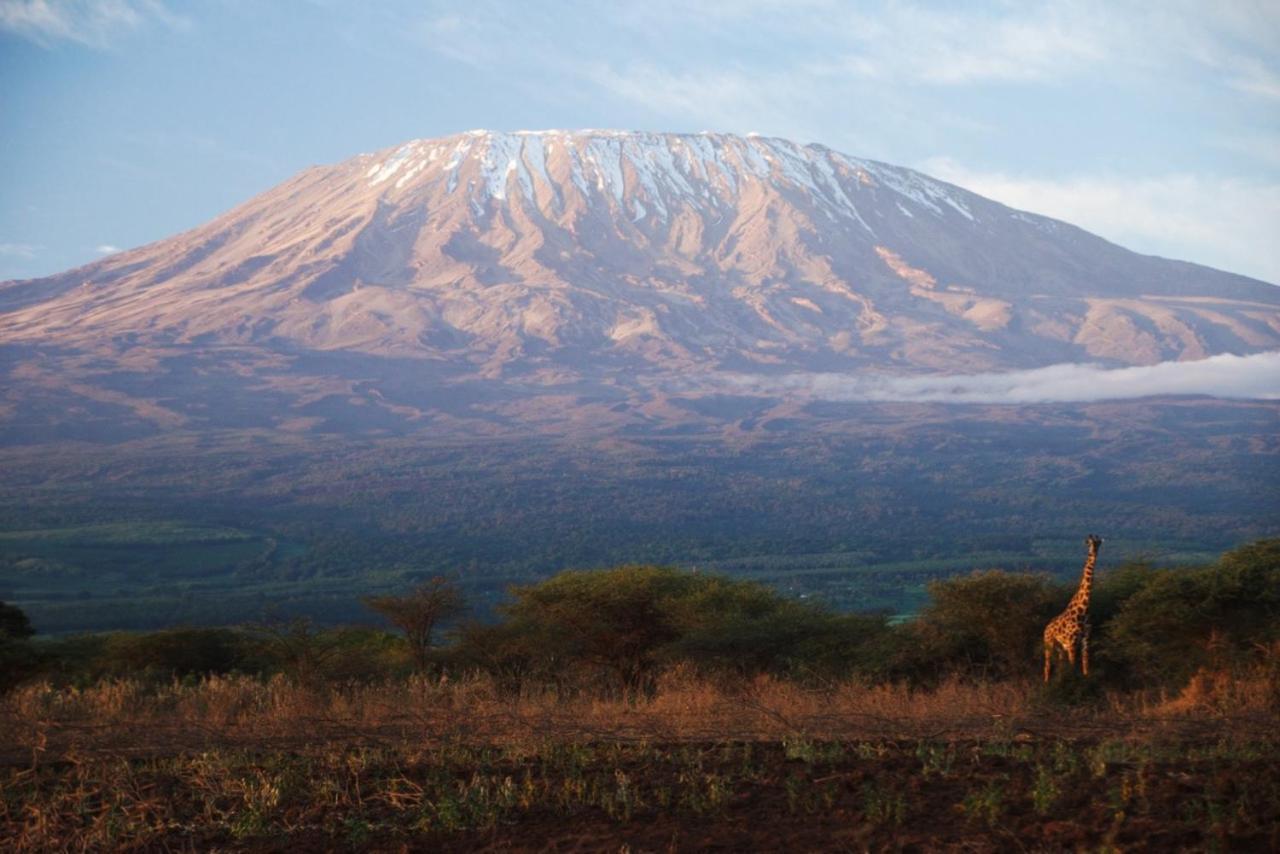 Amboseli Cultural Camping Екстериор снимка